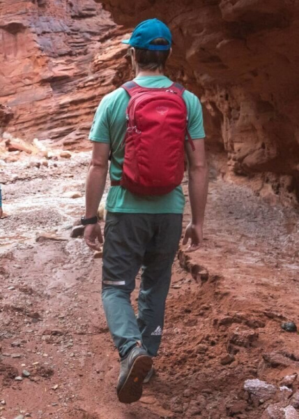 Рюкзак Daylite 13л (cosmic red; 13 л)